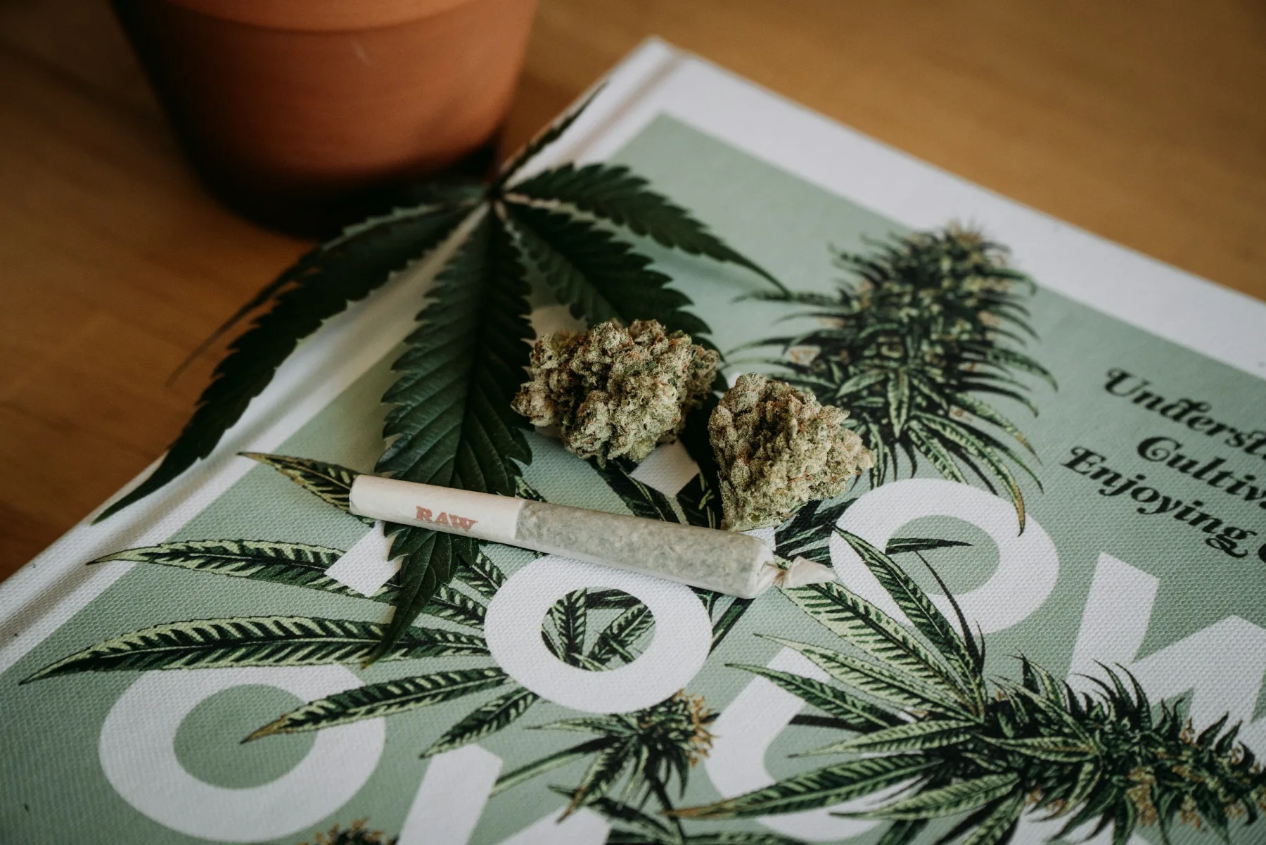 Cannabis-Induced Psychosis: What Families Are Seeing and What Can Help