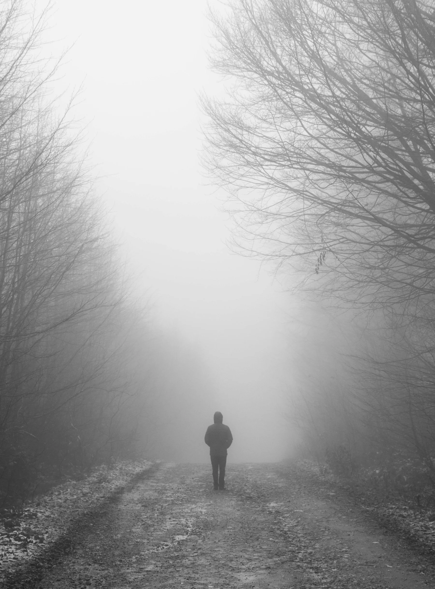 Breaking Through the Fog: Understanding Addiction Denial in Families