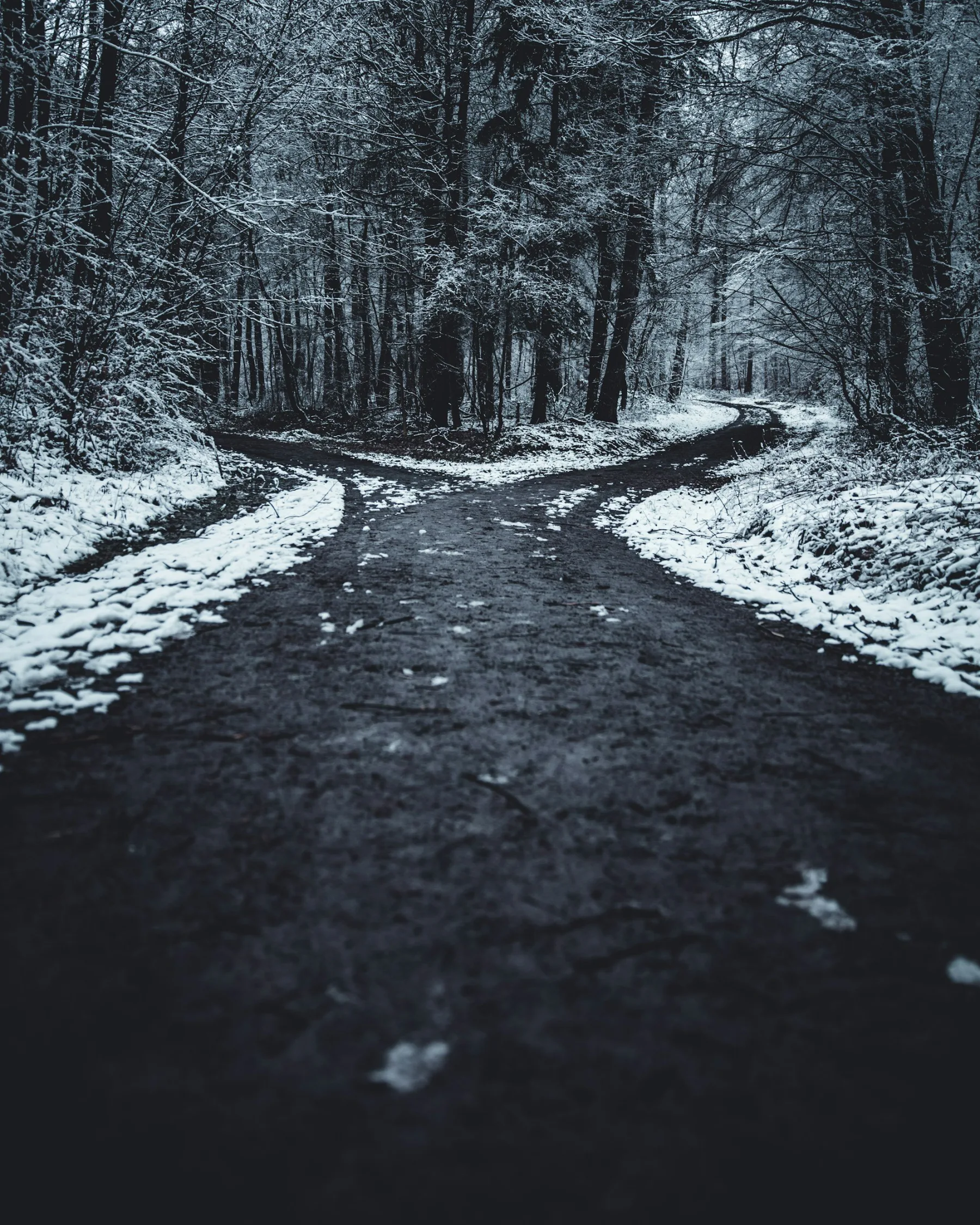 Navigating the Challenges of Dual Diagnosis: Understanding Co-Occurring Disorders